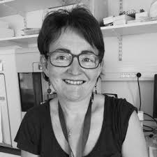 Microbiologie quantitative évolutive, écologique et mécaniste