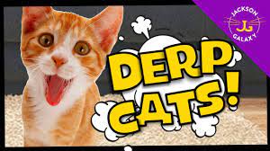 Cats Derp Out Cute Cat Compilations Youtube
