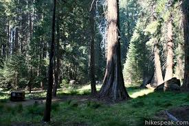 Maybe you would like to learn more about one of these? Sequoia And Kings Canyon Campgrounds Hikespeak Com