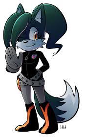 G Secret Fox By Kaithephaux On Deviantart Sonic Fan Art Art Sonic Fan Characters