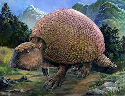 Glyptodon The Prehistoric Armadillo That Was The Size Of A Car Mammals Prehistoric Armadillo
