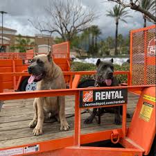 Highpower Kennels California Saturday Is Meant For Training Pups Mr Rip Mz Mila Enjoying Their Time At Homedepot Homedepot Rental Dogtraining Training Building Ca Construction Orange Trailer Blueeyes Dr Lovely