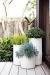 Patio Plants In Pots