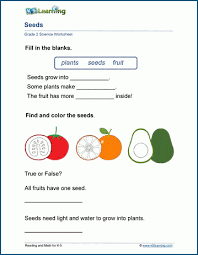 Check spelling or type a new query. Plant Seeds Worksheets K5 Learning