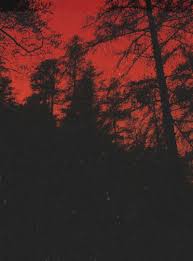 Check spelling or type a new query. Create Meme Forest Red Aesthetic Pictures Meme Arsenal Com