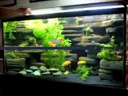 See more ideas about aquarium design, amazing aquariums, fish tank. Awesome Diy Aquarium Decoration