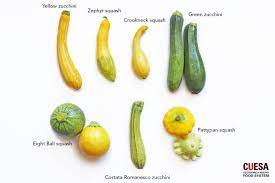 I used skim milk instead of heavy cream and it came. Zucchini And Beyond A Farmers Market Guide To Summer Squash Kqed