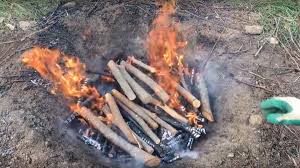 Let the brush smolder until it is charred; How To Make Biochar At Home Allotment Gardens