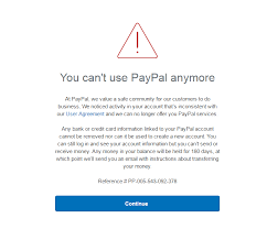 Once a decision is final, these funds will either be released to you or refunded to the buyer. Paypal Account Got Suspended Learn How To Fix It