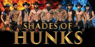 Shades of HUNKS at The Angry Possum