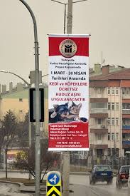 Yenimahalle De Ucretsiz Kuduz Asisi