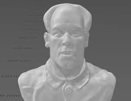 🎨 john cena (zhong xina)・ STL File for ・Cults