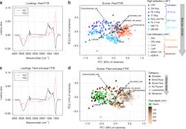 Haji che isa @ abdul rahman bin ismail. Tropical Peatland Carbon Storage Linked To Global Latitudinal Trends In Peat Recalcitrance Nature Communications