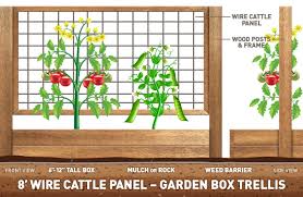 Maybe you would like to learn more about one of these? Grow A Vertical Garden Using Cattle Panels Ifa Country Stores