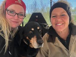 To horace.. passed over rainbow bridge....and all the lost haggi that have  past before....we'll hold a wake, drink plenty of malt and glenfiddich and  scoff down tunnocks in their memory...xxR.I.P...LITTLE Haggis