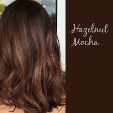 hazelnut mocha in 2019 brown hair balayage balayage hair