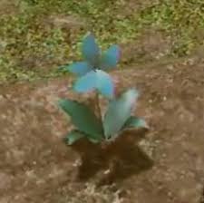 Maybe you would like to learn more about one of these? Blue Moonflower Nier Replicant Wiki