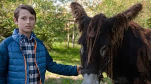 Video Geh Du Alter Esel Folge 68 Tiere Bis Unters Dach Ard Das Erste