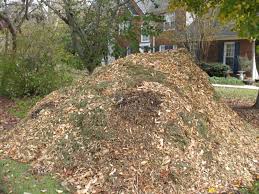 If i can find sawdust from someone's workshop, i use it in my garden for mulch in place of or along with the wood chips. Spokane Mulch Free And Low Cost Wood Chips In The Spokane Area