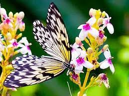 Thousands of free jigsaw puzzle games for pcs and tablets, suitable for both kids and adults alike. Pin On Jigsaw Puzzles