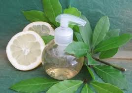 Recette Gel Lavant Au Laurier Purifiant Pour Les Mains Aroma Zone Creme Pour Le Visage Creme Pour Les Mains Cosmetique