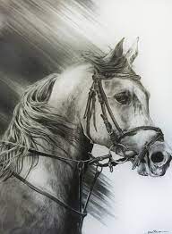 Check spelling or type a new query. Pencil Drawings Animals On Behance