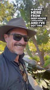 How to Cover Utility Pole with Landscaping