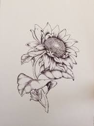 How To Draw A Sunflower Easy Step By Step Drawing Guides In 2020 Eskizi Malyunok Grafika