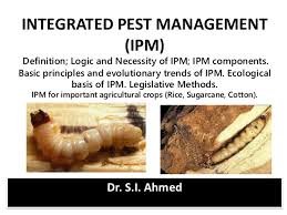 In developing countries, plant diseases have been given less. Ipm Of Forest Insect Pests