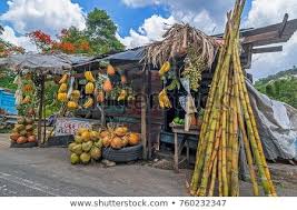 Fruit Stand In Bog Walk St Catherine Jamaica Jamaica Country Jamaica Jamaican Culture