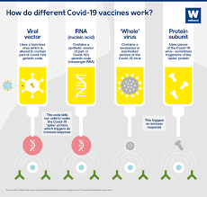 Maybe you would like to learn more about one of these? What Different Types Of Covid 19 Vaccine Are There News Wellcome