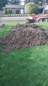 So the next time you're looking for clean fill dirt for sale, post a classified ad here for free. Free Clean Fill Dirt For Sale In Lynnwood Wa Offerup