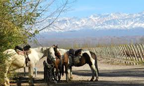 bodega ojo de vino dieter meier agrelo mendoza vino bodegas vinos argentinos