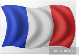 Det betyr vanligvis frankrike, fransk eller fransk territorium, og hovedstaden er paris. Plakat Frankrike Flagg Fransk Flagg Pixers Vi Lever For Forandring
