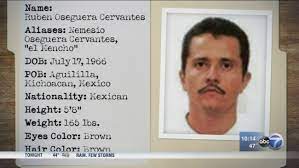 El mencho's son, rubén oseguera gonzález, alias el menchito, was reportedly an ally of sinaloa cartel leader joaquín el chapo guzmán. Mexican Authorities Arrest Wife Of Drug Kingpin El Mencho Abc7 Chicago