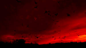 The perfect aesthetic red redaesthetic animated gif for your conversation. Red And White Aesthetic Gif Novocom Top