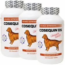 Cosequin For Dogs Veterinary Place