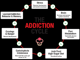 How long does it take to lose my fitness? Why We Get Sugar Addicted And How To Break The Brutal Cycle Dr Phil Maffetone