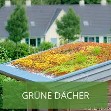 Dachbegrunung Auf Ihrem Gartenhaus So Geht S Dachbegrunung Garten Gartenhaus
