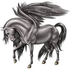 Rainbow cat unicorn butterfly pegasus. 54 Best Pegasus Drawing Ideas Pegasus Drawing Pegasus Pegasus Art