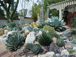 Soft Autumn Wardrobe Colors Succulent Rock Garden Succulent Landscape Design Succulent Landscaping