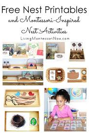 Free Nest Printables And Montessori Inspired Nest Activities For Multiple Ages Perfect For Montessori Toddler Activities Montessori Activities Preschool Units