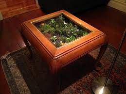 Constructing the table element of our vivarium conversion. The Perfectly Unique Terrarium Coffee Table For More Than Ordinary Coffee Table In Your Home Youtube