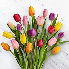Rush Of Color Assorted Tulip Bouquet Tulip Bouquet Tulips Flowers Flower Delivery