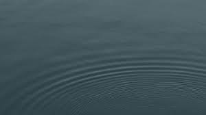 Image result for tbn:SQJ1tCP2zcLTgM::www.cbc.ca/news/background/toronto-bomb-plot/gfx/raza-060605.jpg