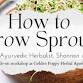 How to Grow Sprouts with Shannon Allstott