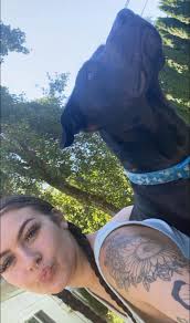 Rescue: Our dogs Bentley and Tuxedo got out again off of Ridgewood Dr., in  Rescue off of Deervalley Road. Please contact 916-812-5768 if found.  🙏🏻🙏🏻 Please Note: This is a shared post!