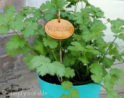 These painted rock herb markers will make that. Diy Herb Garden Markers Simply Notable