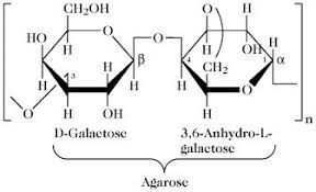 We did not find results for: Agar Agar Cos E E Dove Si Compra Bioline Integratori