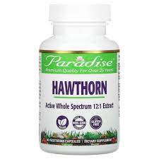 Heart healthy vegan hawthorn cookies recipe. Paradise Herbs Hawthorn 60 Vegetarian Capsules Iherb